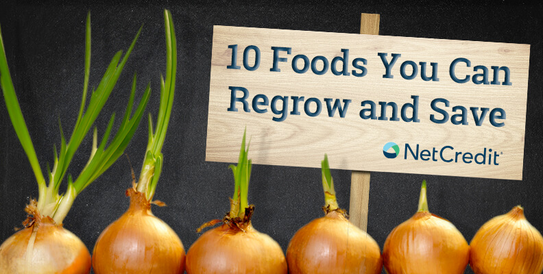 10 Foods You Can Regrow and Save 10 Foods You Can Regrow and Save