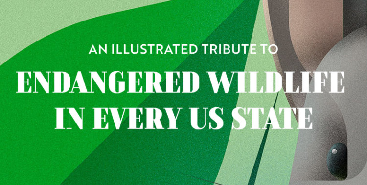 endangered wildlife