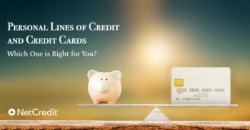 Personal Lines of Credit versus Credit Cards: Which One is Right for You