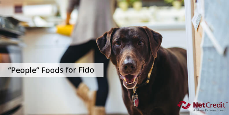 Fresh Foods for Fido