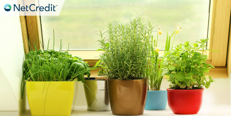 indoor gardening