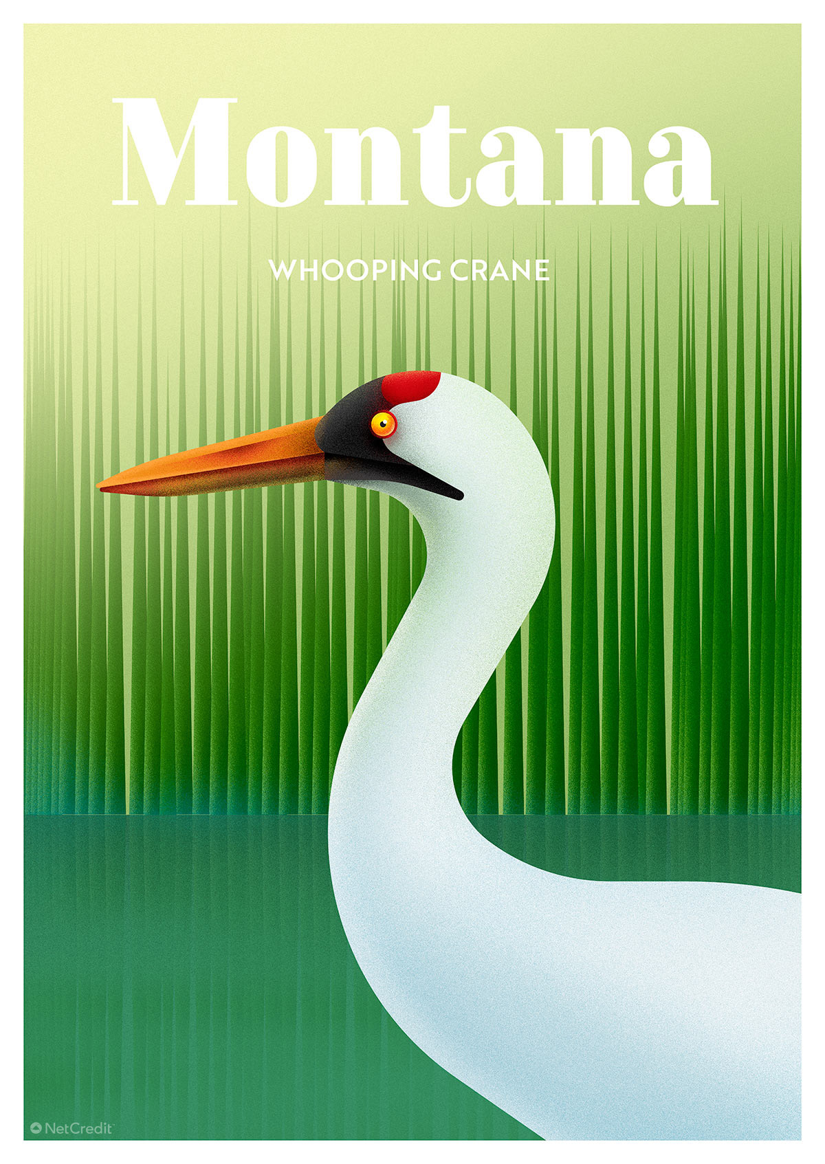 Montana