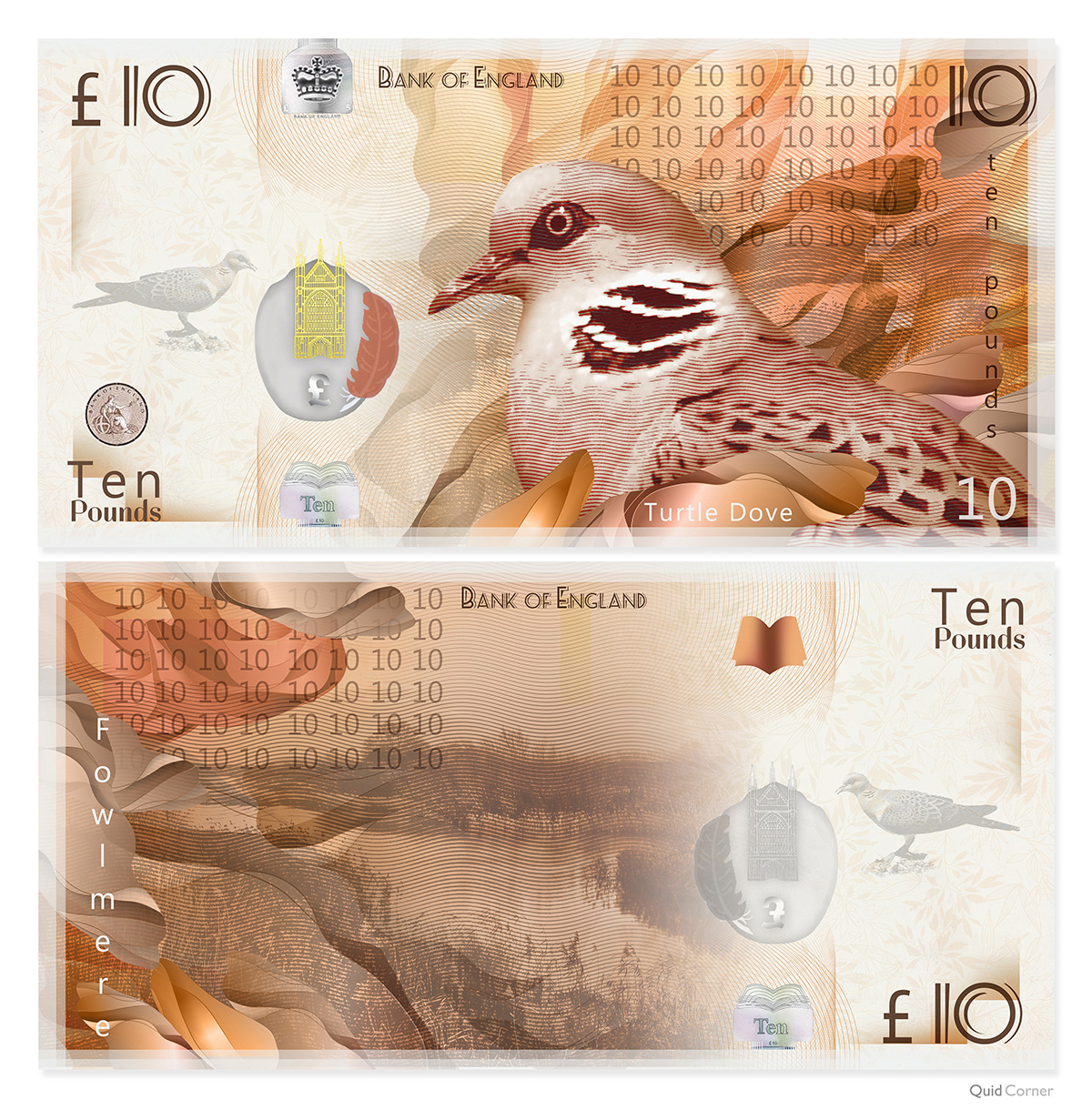 turtle dove banknote