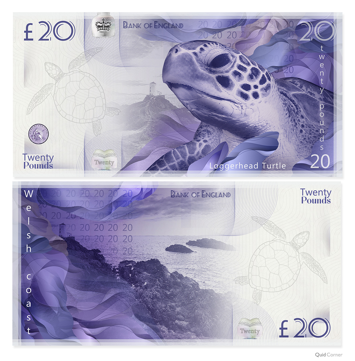 loggerhead turtle banknote