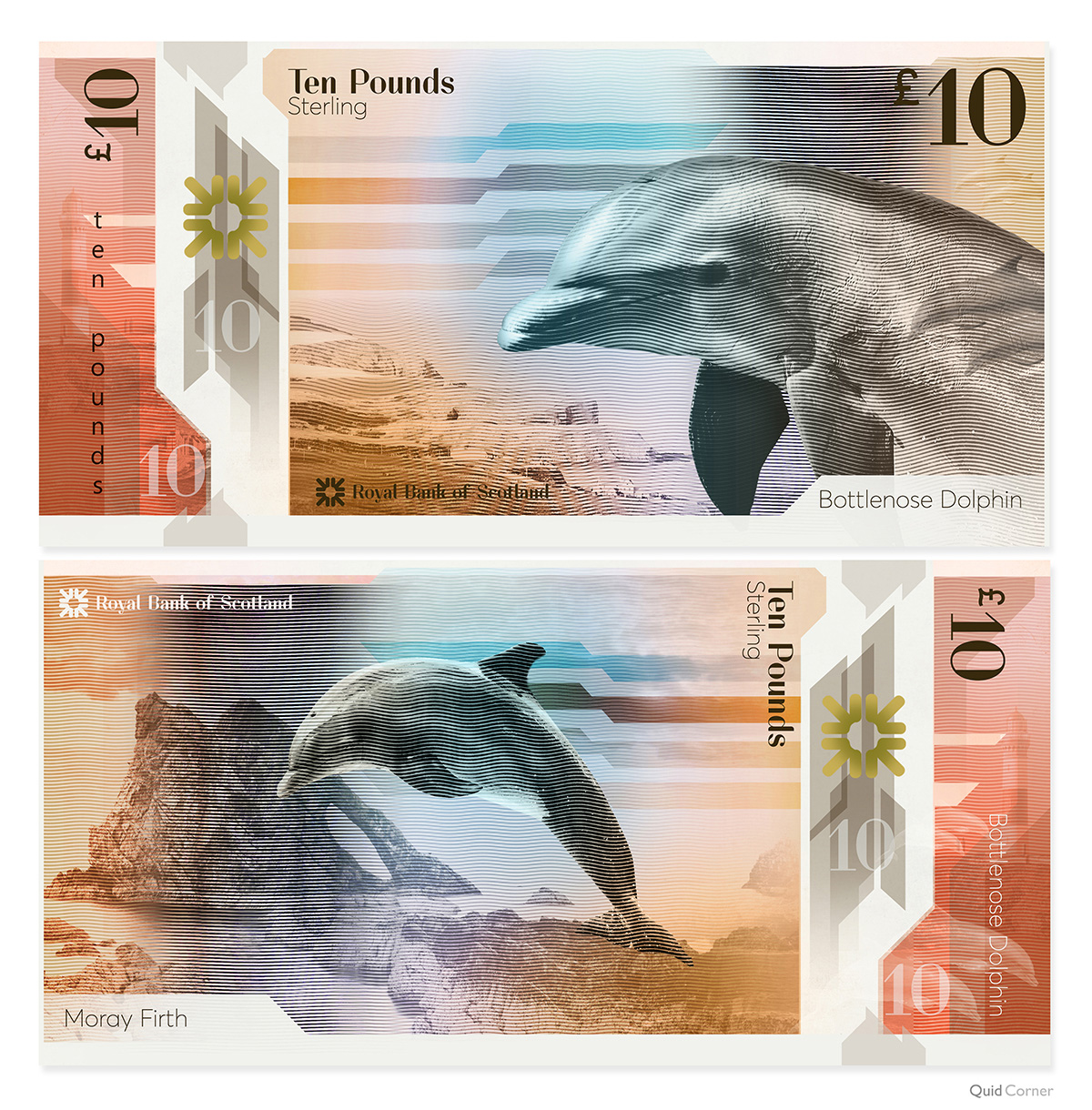 bottlenose dolphin banknote