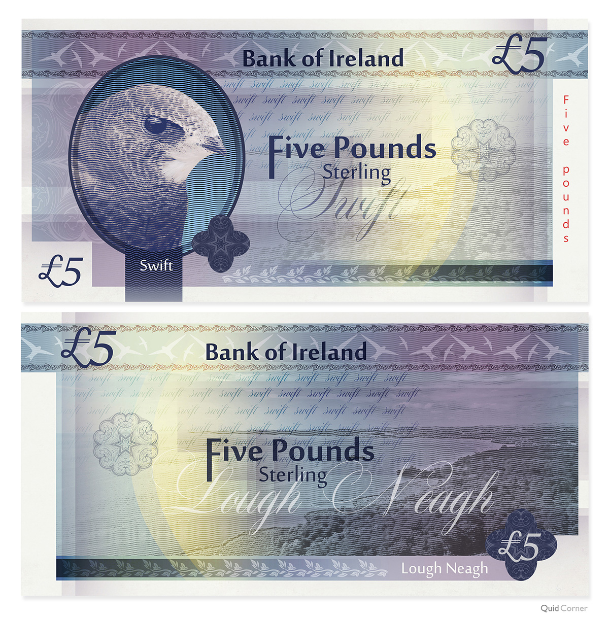 Swift bird banknote