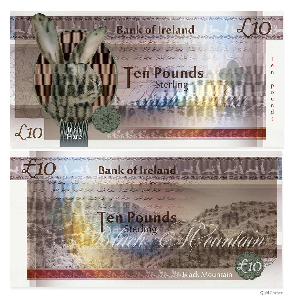 irish hare banknote