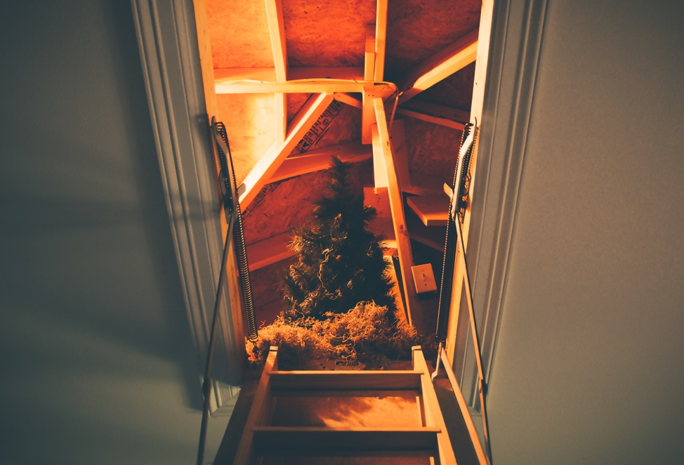 Upward view looking into an attic space