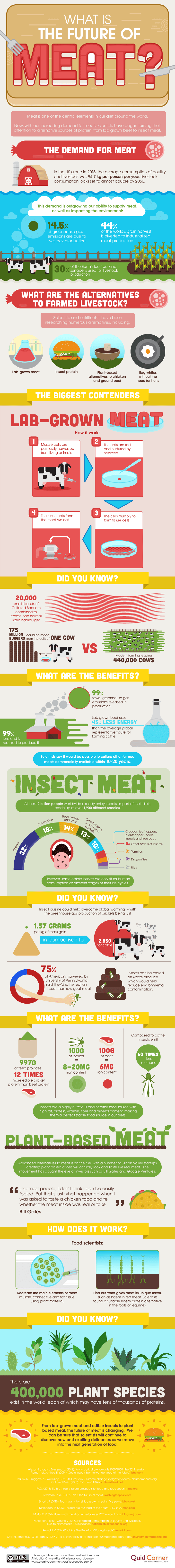 The future of meat production infographic