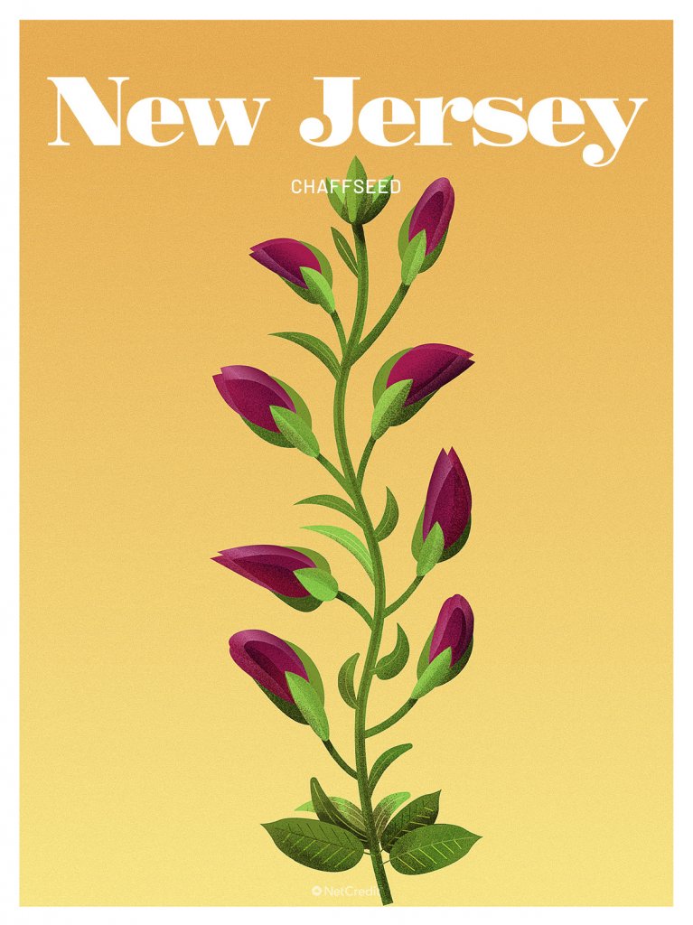 An Illustrated Tribute to the Most Endangered Plant in Every U.S. State ...