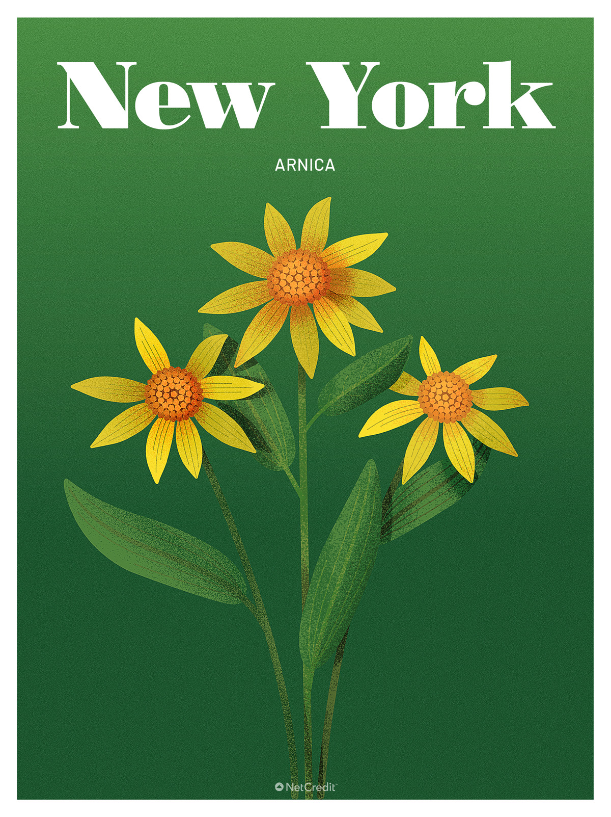 New York: Arnica