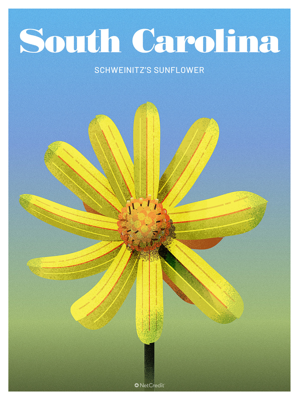 Endangered Plant in South Carolina: Schweinitz's Sunflower