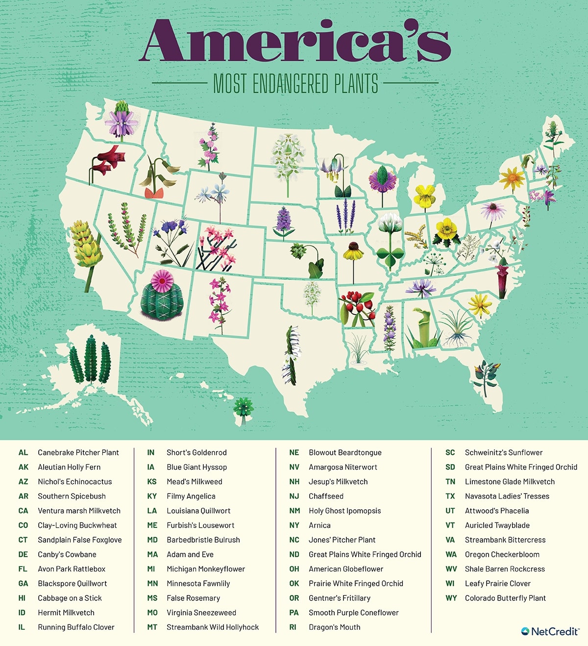 America's Most Endangered Plants