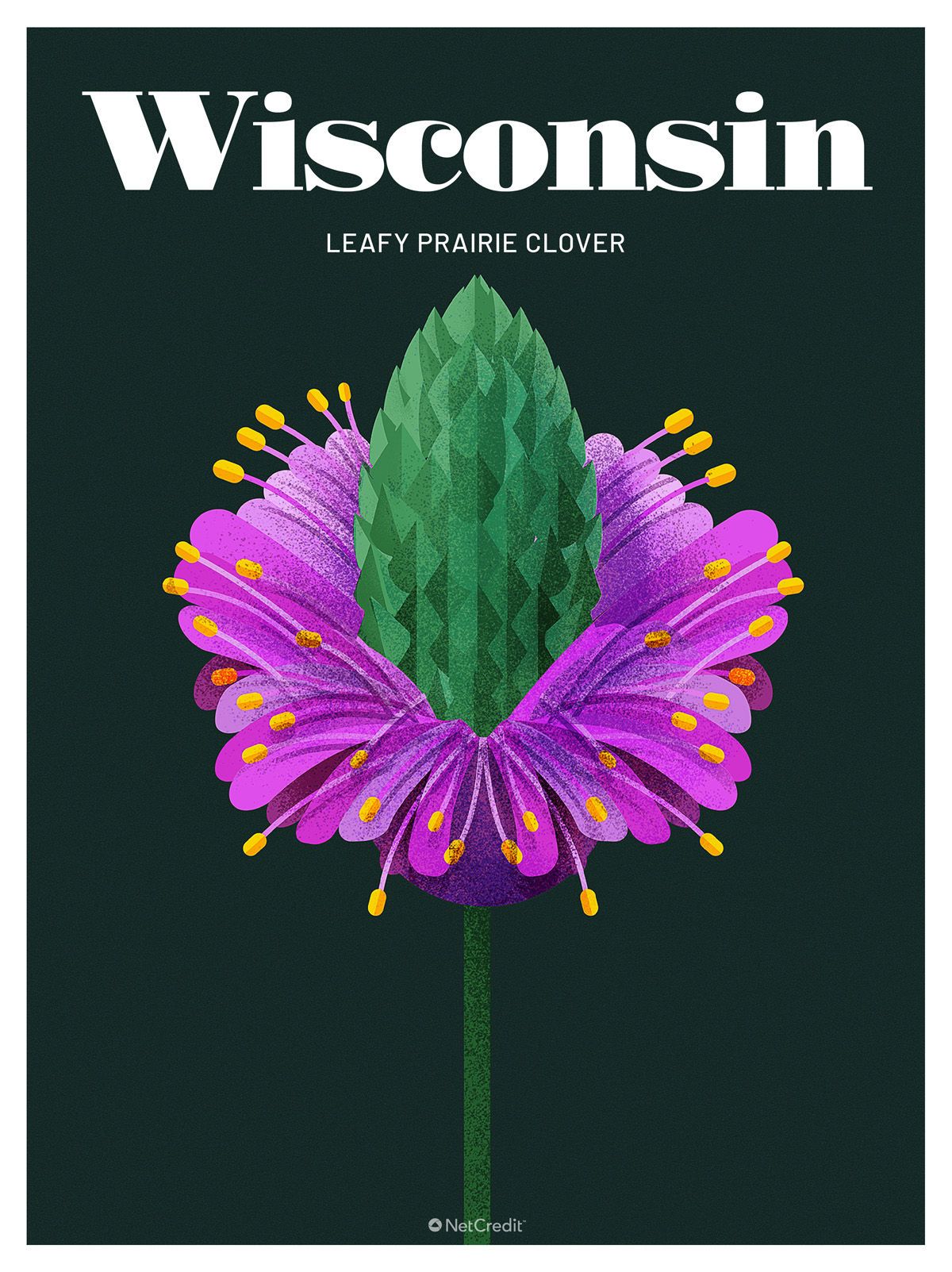 Endangered Plant in Wisconsin: Leafy Prairie Clover