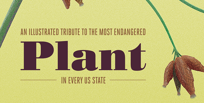 An Illustrated Tribute to the Most Endangered Plant in Every U.S. State