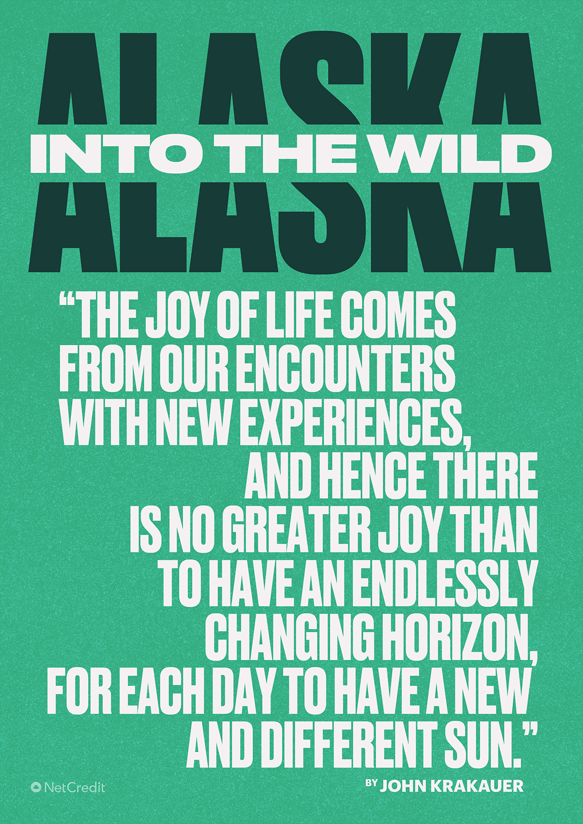 Into the Wild Alaska